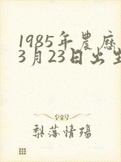 1985年农历3月23日出生五行八字