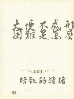 大便不成形排便困难是怎么回事