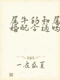 属牛的和属兔的婚配合适吗