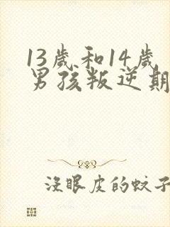 13岁和14岁男孩叛逆期怎么办