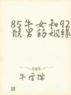 85牛女和92猴男的姻缘