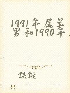 1991年属羊男和1990年属马女婚姻