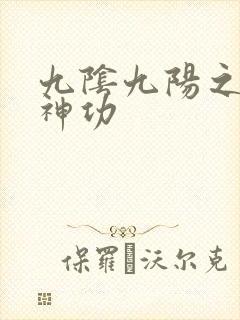 九阴九阳之阴阳神功