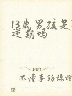 13岁男孩是叛逆期吗