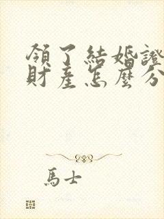 领了结婚证离婚财产怎么分封面