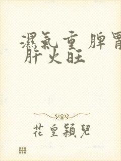 湿气重 脾胃虚 肝火旺