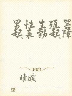 男性生殖器硬不起来勃起障碍封面