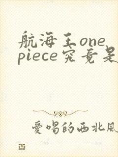 航海王one piece究竟是什么