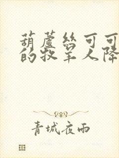 葫芦丝可可托海的牧羊人降b调伴奏曲