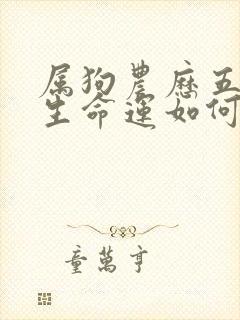 属狗农历五月出生命运如何