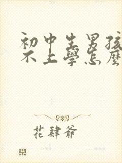 初中生男孩叛逆不上学怎么办封面