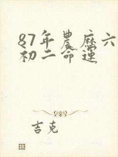 87年农历六月初二命运封面