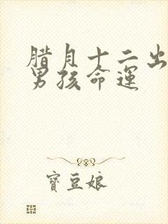 腊月十二出生的男孩命运