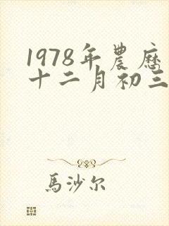 1978年农历十二月初三是什么命封面