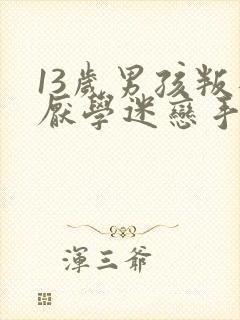 13岁男孩叛逆厌学迷恋手机怎么办