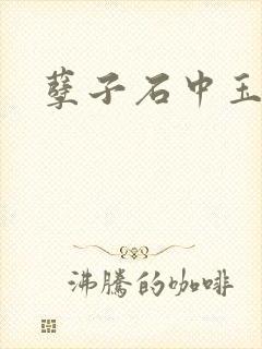 孽子石中玉