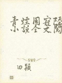 青烟团宠陆沉舟小说全文阅读