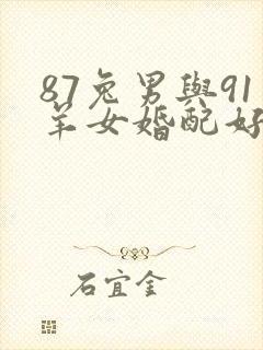 87兔男与91羊女婚配好不好