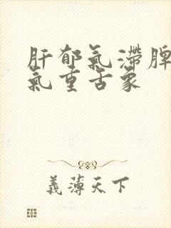 肝郁气滞脾虚湿气重舌象