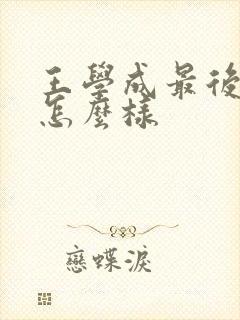 王学成最后结局怎么样封面