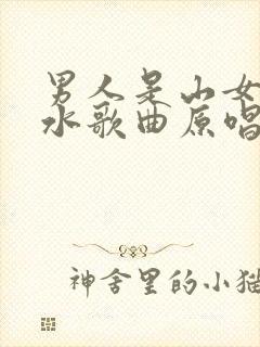 男人是山女人是水歌曲原唱封面