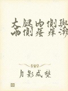 大腿内侧与阴囊两侧瘙痒潮湿发黑用什么药