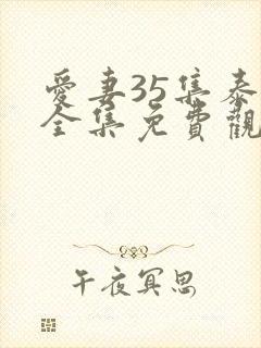 爱妻35集泰剧全集免费观看国语版