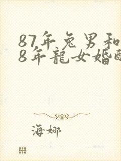 87年兔男和88年龙女婚配封面