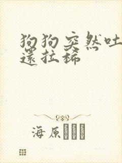 狗狗突然吐黄水还拉稀