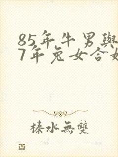 85年牛男与87年兔女合婚吗
