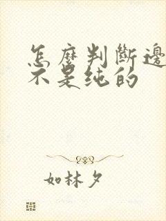 怎么判断边牧是不是纯的