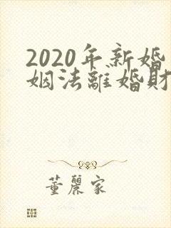2020年新婚姻法离婚财产如何分割