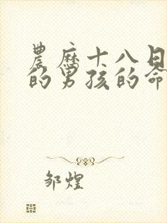 农历十八日出生的男孩的命运封面