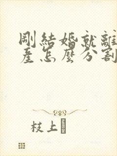 刚结婚就离婚财产怎么分割