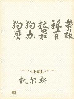 狗狗拉稀带血怎么办最有效的方法封面