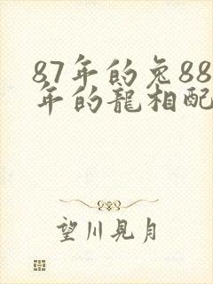 87年的兔88年的龙相配吗