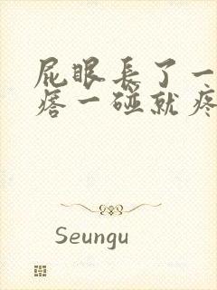 屁眼长了一个疙瘩一碰就疼