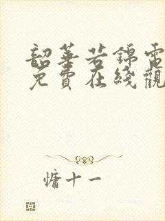 韶华若锦电视剧免费在线观看