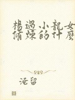 杨过小龙女一起修炼的什么功夫