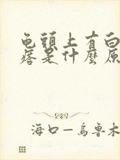 龟头上有白色疙瘩是什么原因