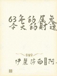 63年的属兔女今天的财运如何