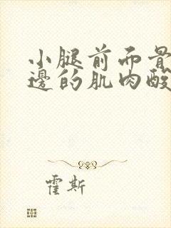 小腿前面骨头旁边的肌肉酸疼