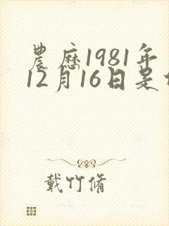 农历1981年12月16日是什么命