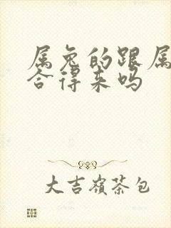 属兔的跟属羊的合得来吗