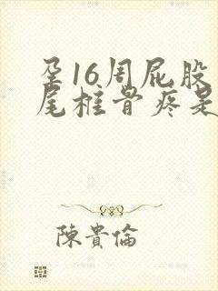 孕16周屁股疼尾椎骨疼是什么原因