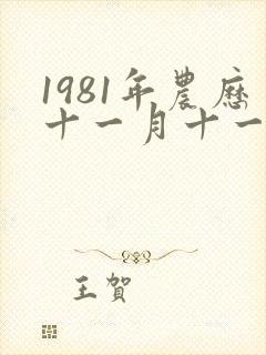 1981年农历十一月十一日出生的命运封面