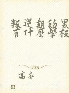 叛逆期的男孩子有什么学校