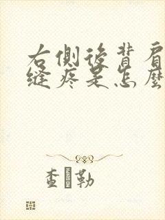 右侧后背肩胛骨缝疼是怎么回事