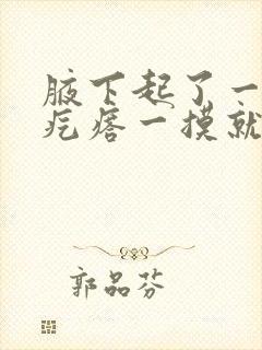 腋下起了一个火疙瘩一摸就疼