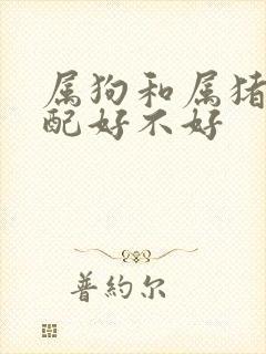 属狗和属猪的婚配好不好